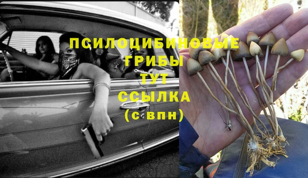 каннабис Алексин