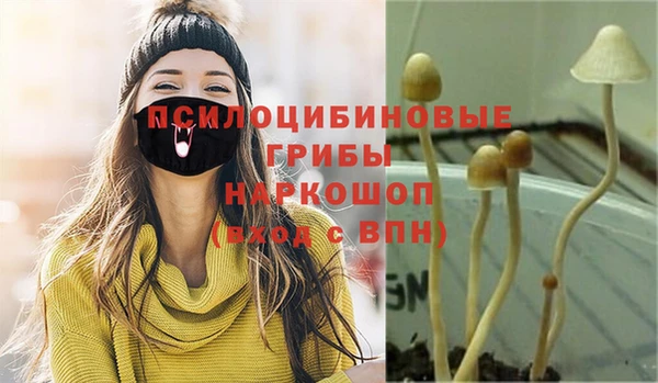 каннабис Алексин