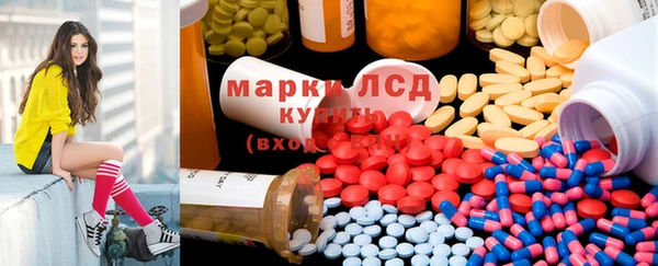 дмт Алзамай