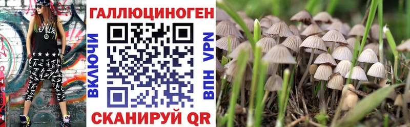 где купить наркоту  Болгар  МЕГА   Псилоцибиновые грибы Psilocybine cubensis 